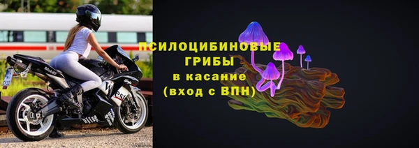 гашик Богородск