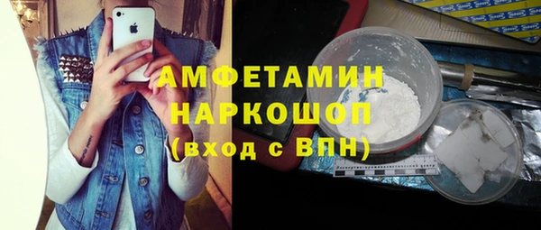 молекула духа Бронницы