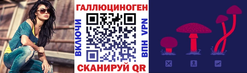 Галлюциногенные грибы Psilocybe  Свободный 